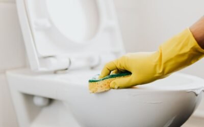 Washroom Cleaning Services in Udaipur