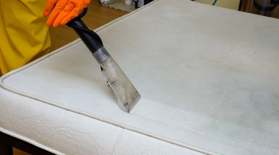 Mattress Cleaning Services in Udaipur
